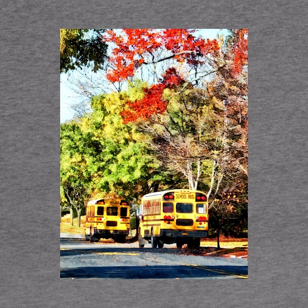 Teachers - Parked School Buses by SusanSavad